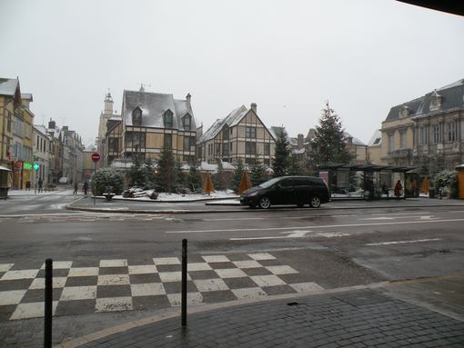  sapins de noël devant l'Hôtel de ville